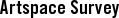 Artspace Survey